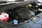 2027 Kia Carnival EX