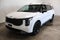 2027 Kia Carnival EX