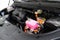 2027 Kia Carnival Hybrid EX