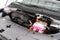 2027 Kia Carnival Hybrid EX