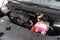 2027 Kia Carnival Hybrid SX