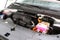 2027 Kia Carnival Hybrid SX Prestige