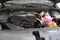 2027 Kia Sportage Hybrid EX