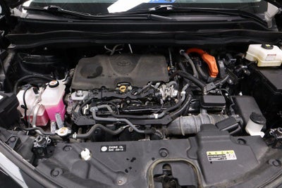 2022 Toyota Sienna XLE AWD 7-Passenger (Natl)