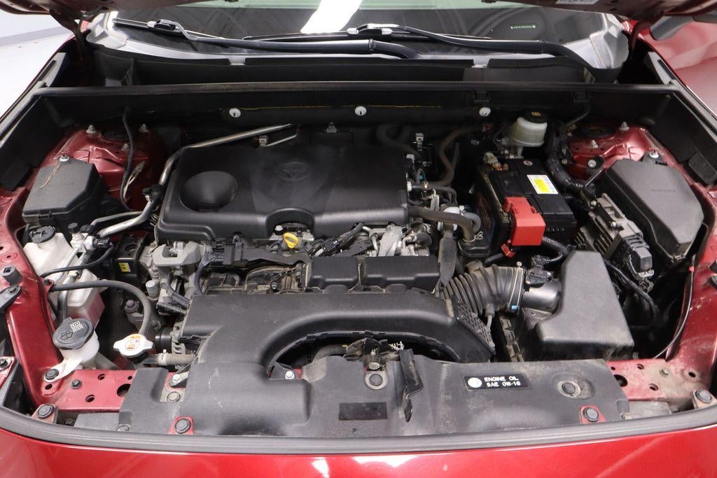 2019 Toyota RAV4 XLE Premium AWD (Natl)