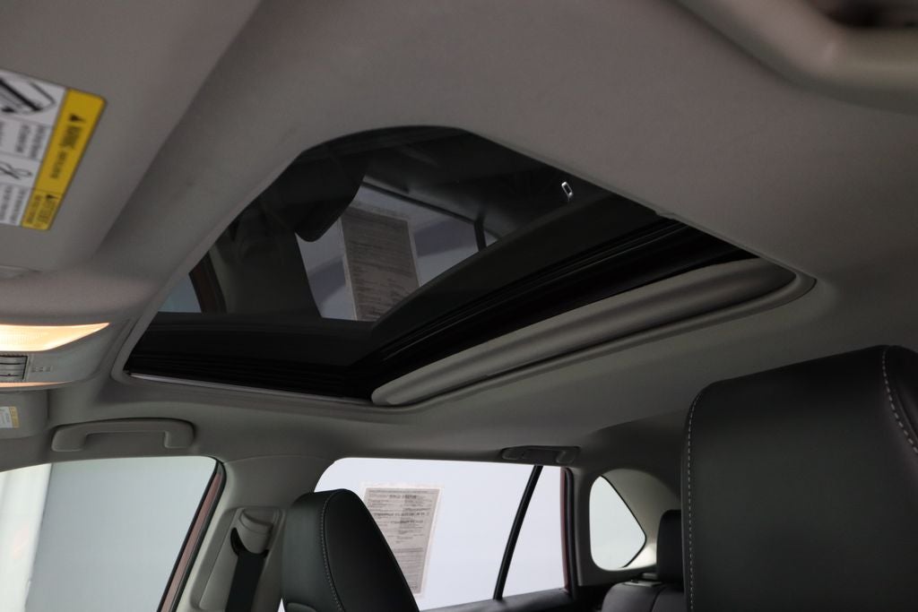 2019 Toyota RAV4 XLE Premium AWD (Natl)