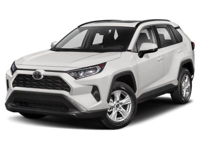 2019 Toyota RAV4 XLE Premium AWD (Natl)
