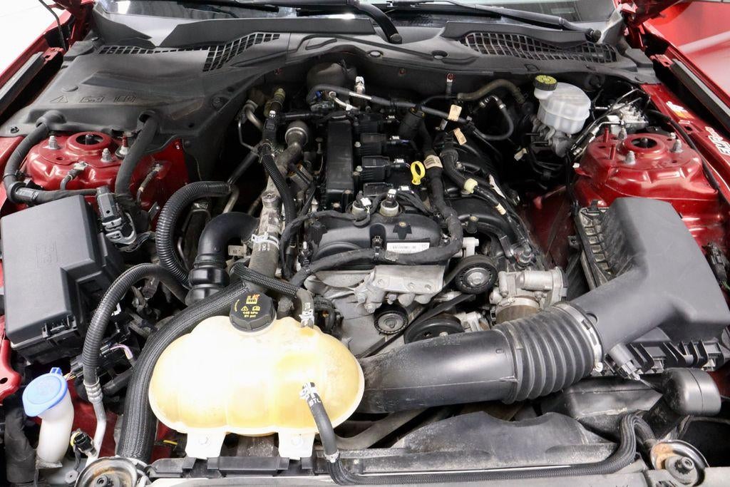 2021 Ford Mustang EcoBoost