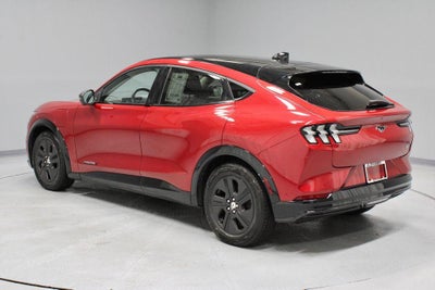 2022 Ford Mustang Mach-E California Route 1