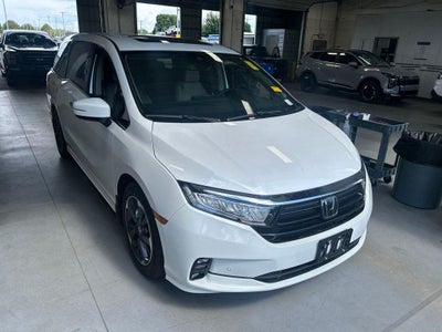 2024 Honda Odyssey Elite