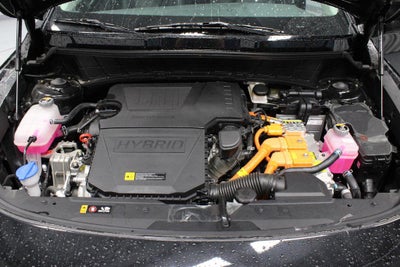 2025 Kia Niro EX Touring